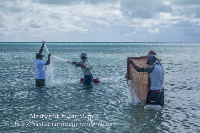 los roques fotografia montse marin raffo